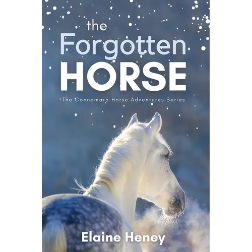 The Forgotten Horse - Book 1 in the Connemara Horse Adventure Series for Kids. The perfect gift for children age 8-12. - Paperback
