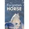 The Forgotten Horse - Book 1 in the Connemara Horse Adventure Series for Kids. The perfect gift for children age 8-12. - Paperback