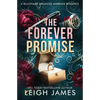 The Forever Promise: A Billionaire Arranged Marriage Romance - Paperback