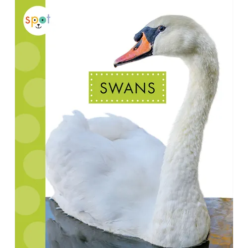 Swans - Paperback
