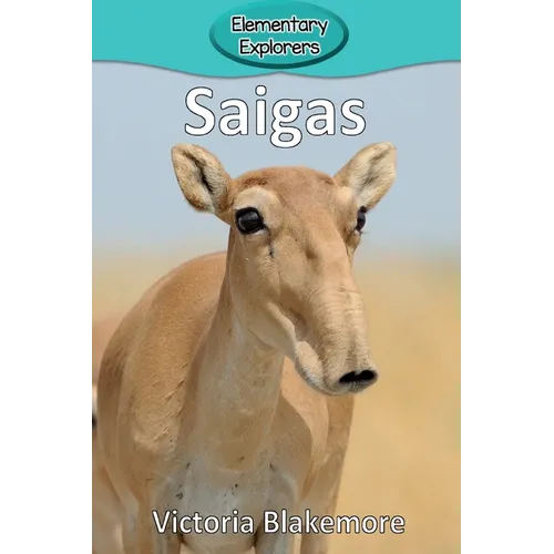 Saigas - Paperback