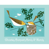 Charles Harper's Birds & Words - Hardcover