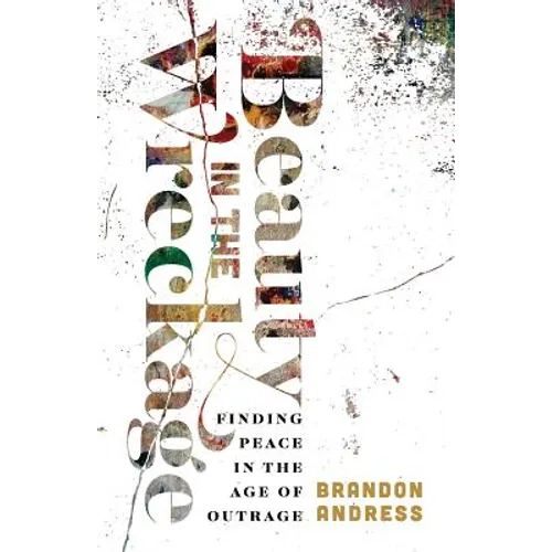 Beauty in the Wreckage: Finding Peace in the Age of Outrage - Paperback