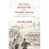 Political Revolution in the Reformed Tradition: A Historical and Biblical Critique - Paperback