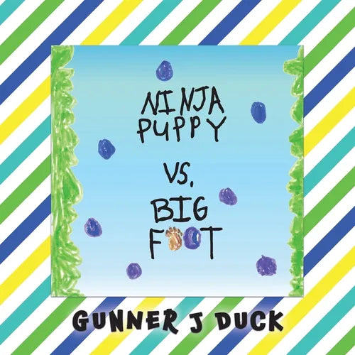 Ninja Puppy VS Bigfoot - Paperback