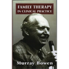 Family Therapy in Clinical Practice - Paperback
