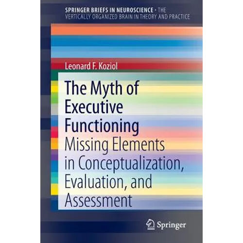 The Myth of Executive Functioning: Missing Elements in Conceptualization, Evaluation, and Assessment - Paperback