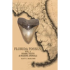 Florida Fossils: Shark Teeth & Marine Animals - Paperback