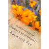 Lighter Side of Life - Paperback