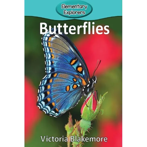 Butterflies - Paperback