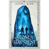 The Stones Stay Silent - Paperback