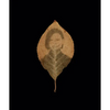 Binh Danh: The Enigma of Belonging - Hardcover