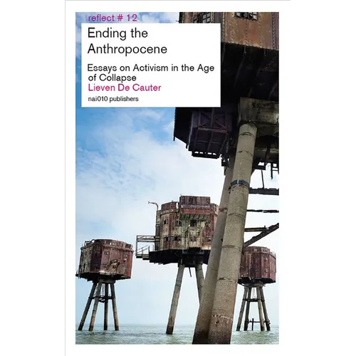 Ending the Anthropocene: Essays on Activism in the Age of Collapse - Paperback