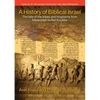 A History of Biblical Israel: The Fate of the Tribes and Kingdoms from Merenptah to Bar Kochba - Paperback