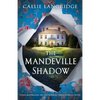 The Mandeville Shadow: Totally Heartbreaking and Unputdownable Timeslip Historical Fiction - Paperback