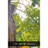 The Gift Of Pentecost: Meditations On The Holy Ghost - Paperback