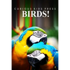 Birds! - Curious Kids Pess: (Picture book, Children's book about animals, Animal books for kids 5-7) - Paperback