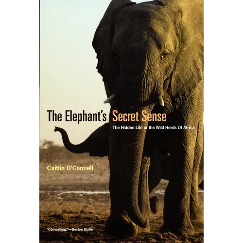 The Elephant's Secret Sense: The Hidden Life of the Wild Herds of Africa - Paperback