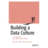 Building a Data Culture: The Usage and Flow Data Culture Model - Paperback