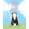 Live like a Cat - Paperback