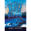 Swift Boat Down: The Real Story of the Sinking of Pcf-19 - Hardcover
