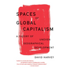 Spaces of Global Capitalism: A Theory of Uneven Geographical Development - Paperback