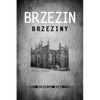 Brzezin Memorial Book - Hardcover
