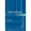 Gilles Deleuze: An Introduction - Paperback