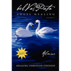 Belvaspata Angel Healing Volume II - Paperback