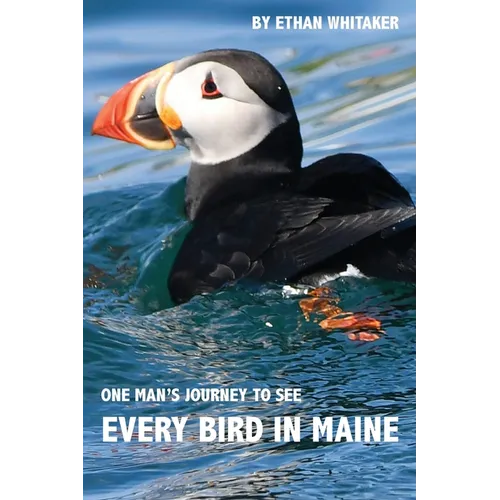 Every Bird in Maine: One Man's Journey to See Every Bird in Maine - A Photographic Account of a Maine Big Year in Birding - Paperback
