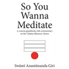 So You Wanna Meditate: A concise guidebook with commentary on the Vijnana Bhairava Tantra - Paperback