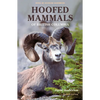 Hoofed Mammals of British Columbia - Paperback