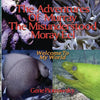 The Adventures Of Murray The Misunderstood Moray Eel: Welcome To My World - Paperback
