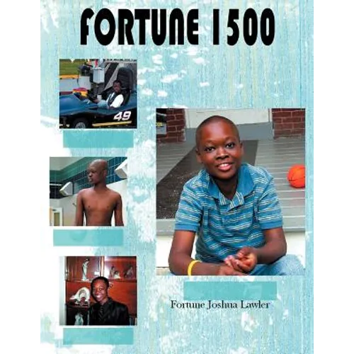Fortune 1500: A Story in Pictures - Paperback