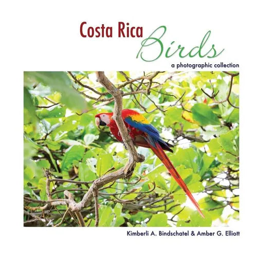 Costa Rica Birds: A Photographic Collection - Paperback
