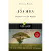 Joshua: The Power of God's Promise - Paperback