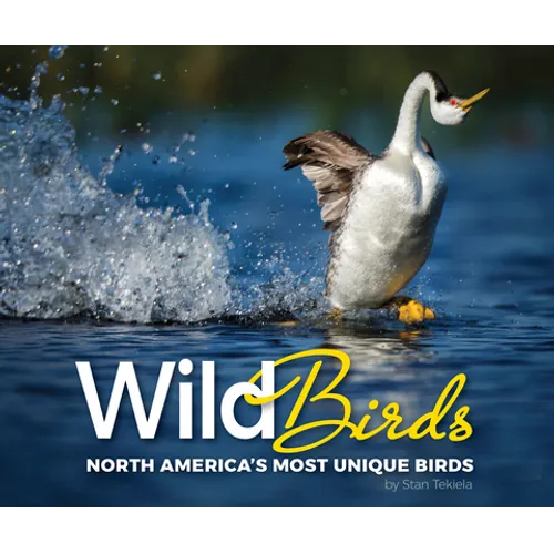 Wild Birds: North America's Most Unique Birds - Paperback