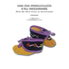 Gaa-Izhi-Miinigoowizid A'Aw Anishinaabe: What We Were Given as Anishinaabe - Paperback