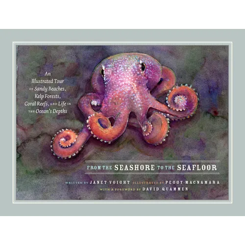 From the Seashore to the Seafloor: An Illustrated Tour of Sandy Beaches, Kelp Forests, Coral Reefs, and Life in the Ocean's Depths - Hardcover