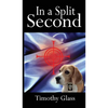 In a Split Second: A Connor Maxwell Mystery - Hardcover