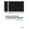 David Levi Strauss: Words Not Spent Today Buy Smaller Images Tomorrow: Essays on the Present and Future of Photography - Paperback