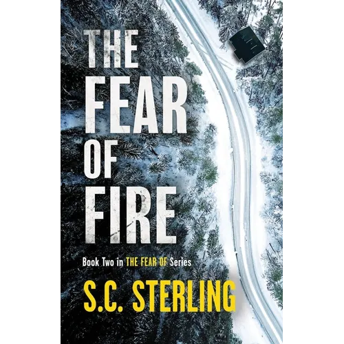 The Fear of Fire (Book Two in The Fear Of Series): A Gripping Detective Thriller - Paperback