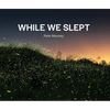 While We Slept - Paperback