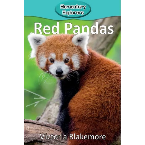 Red Pandas - Paperback