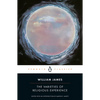 The Varieties of Religious Experience: A Study in Human Nature - Paperback