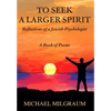 To Seek a Larger Spirit: Reflections of a Jewish Psychologist - Hardcover