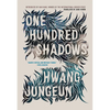 One Hundred Shadows - Hardcover