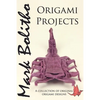 Origami Projects: A collection of original origami designs - Paperback