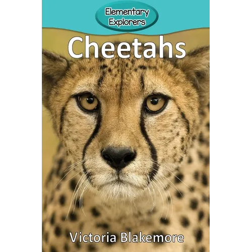 Cheetahs - Paperback
