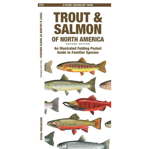 Trout & Salmon of North America, 2nd Ed: An Illustrated Folding Pocket Guide to Familiar Species - Paperback